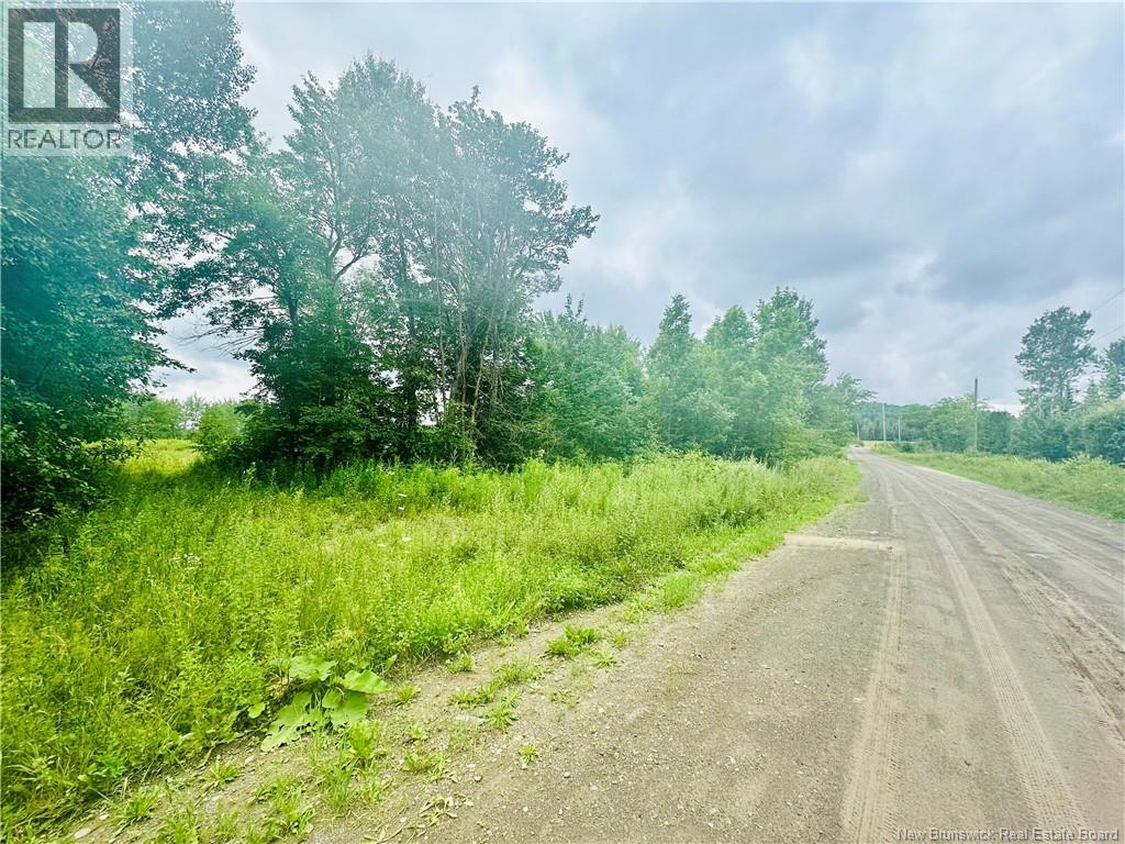Lot 02-1 Slater Road — photo 20