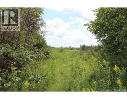 Lot 02-1 Slater Road, Maxwell, NB E7N2Z8 Photo 17