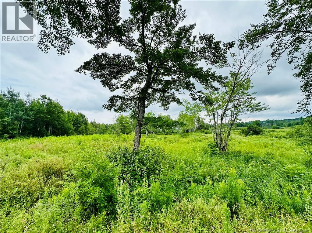 Lot 02-1 Slater Road — photo 35