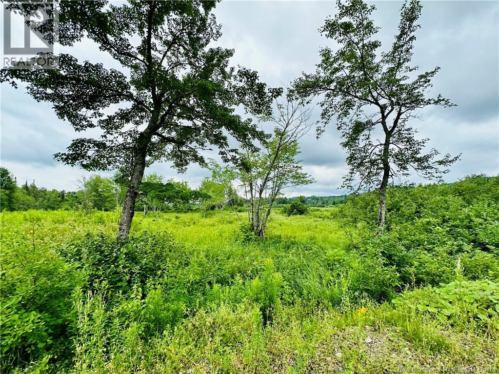 Lot 02-1 Slater Road — photo 36