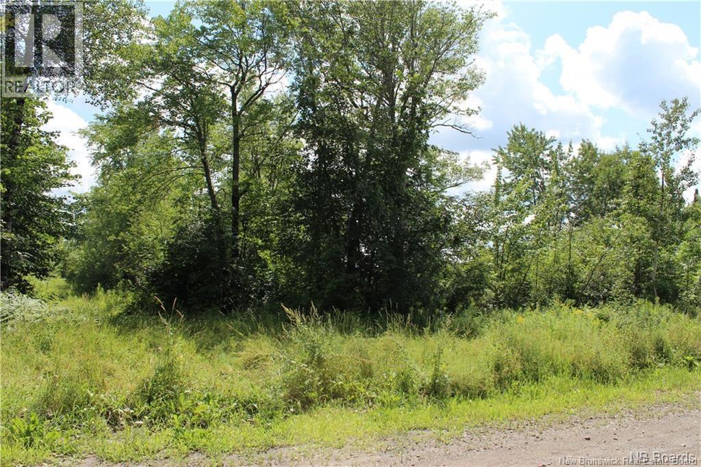 Lot 02-1 Slater Road — photo 18
