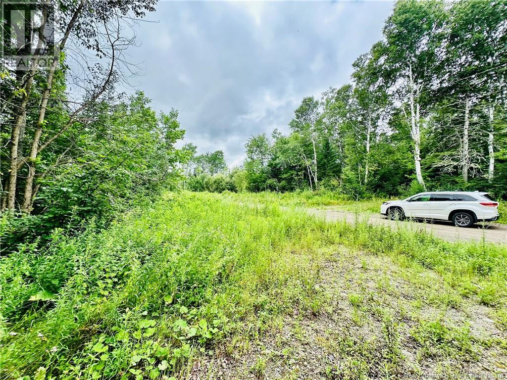 Lot 02-1 Slater Road — photo 22