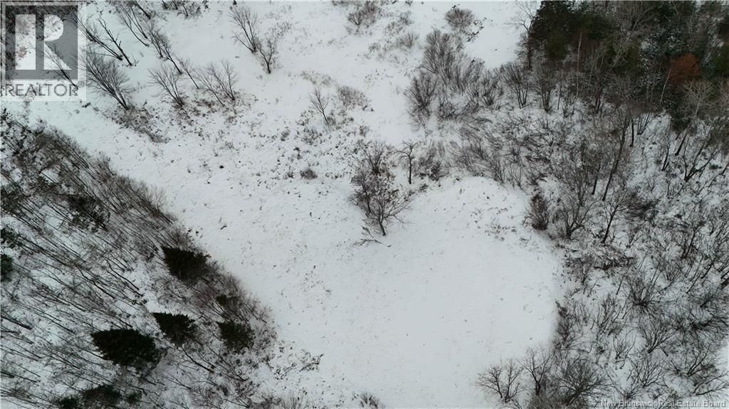 Lot 02-1 Slater Road — photo 41