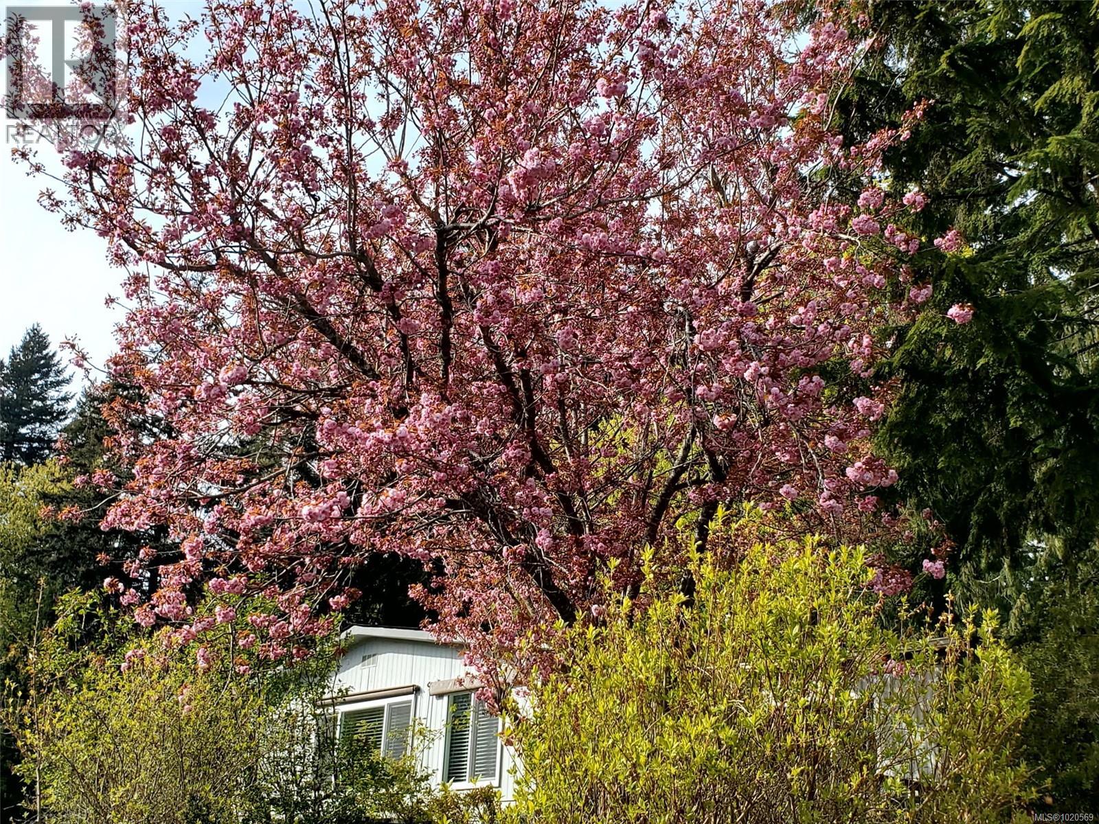 #4 5838 BLYTHWOOD RD - 26