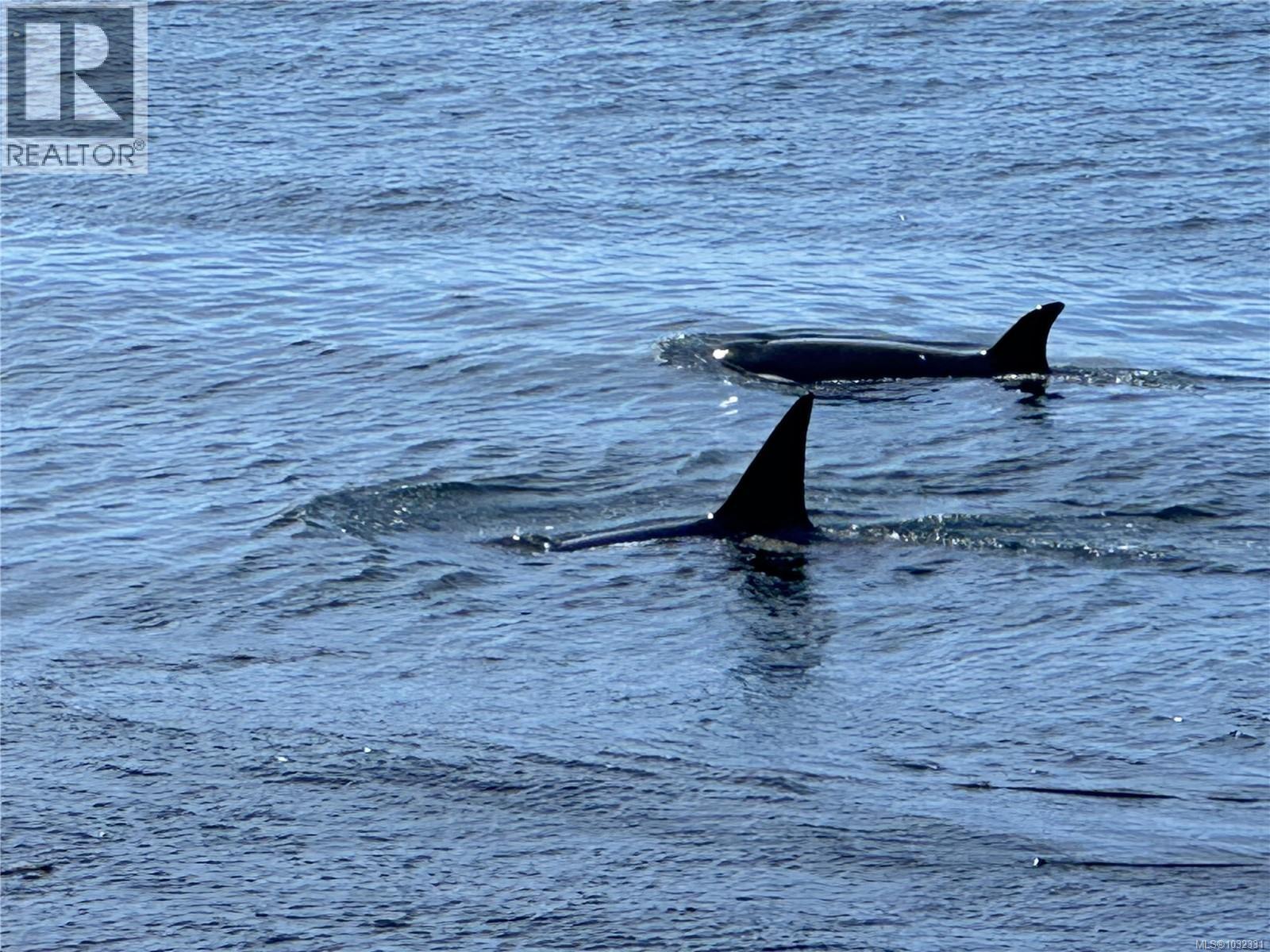 2480 LIGHTHOUSE POINT RD - 59