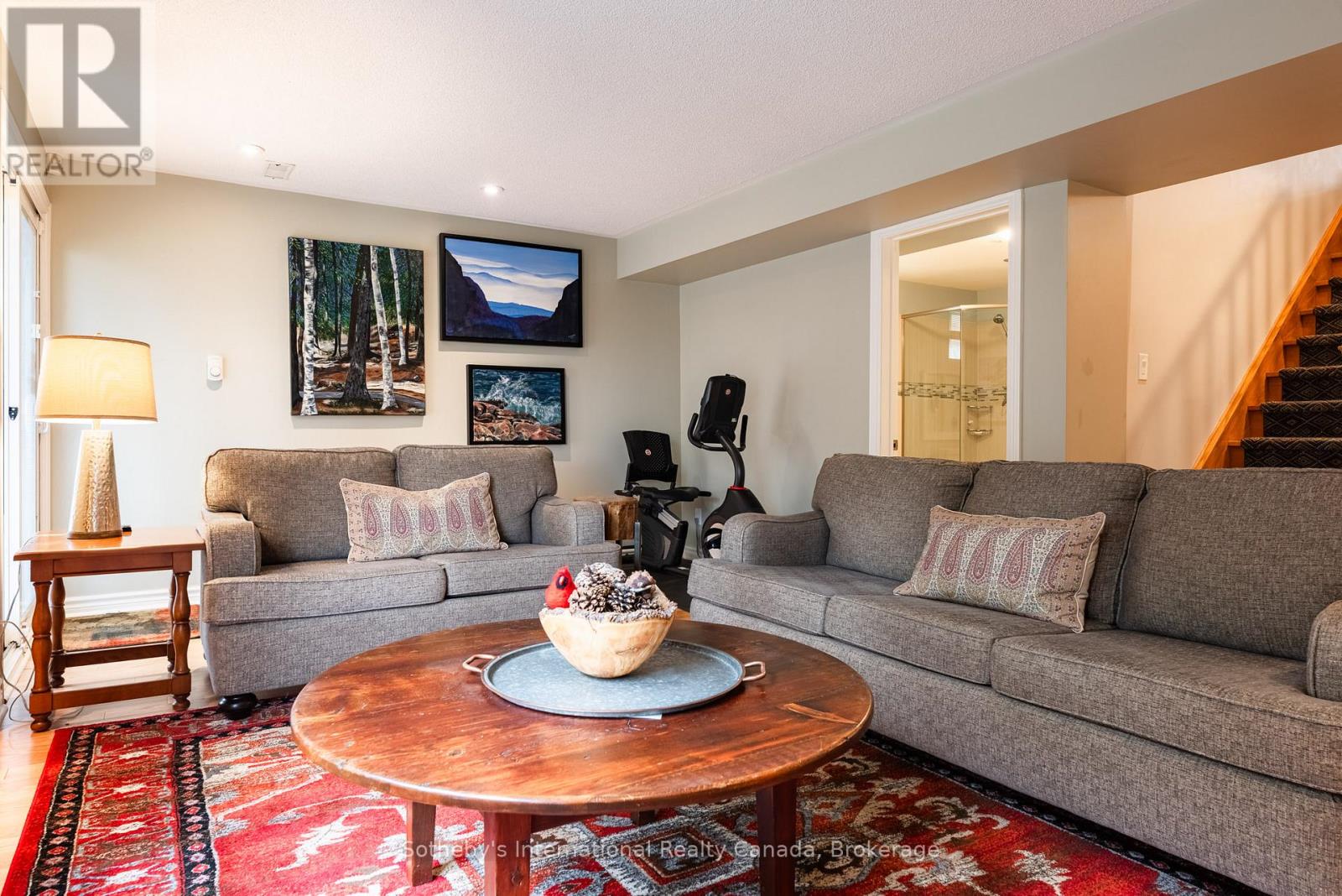 Lower level family room