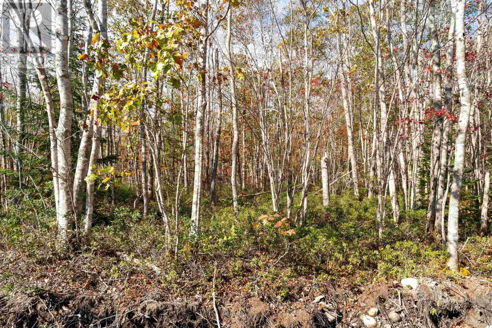 Property photo of 61 Morton Drive