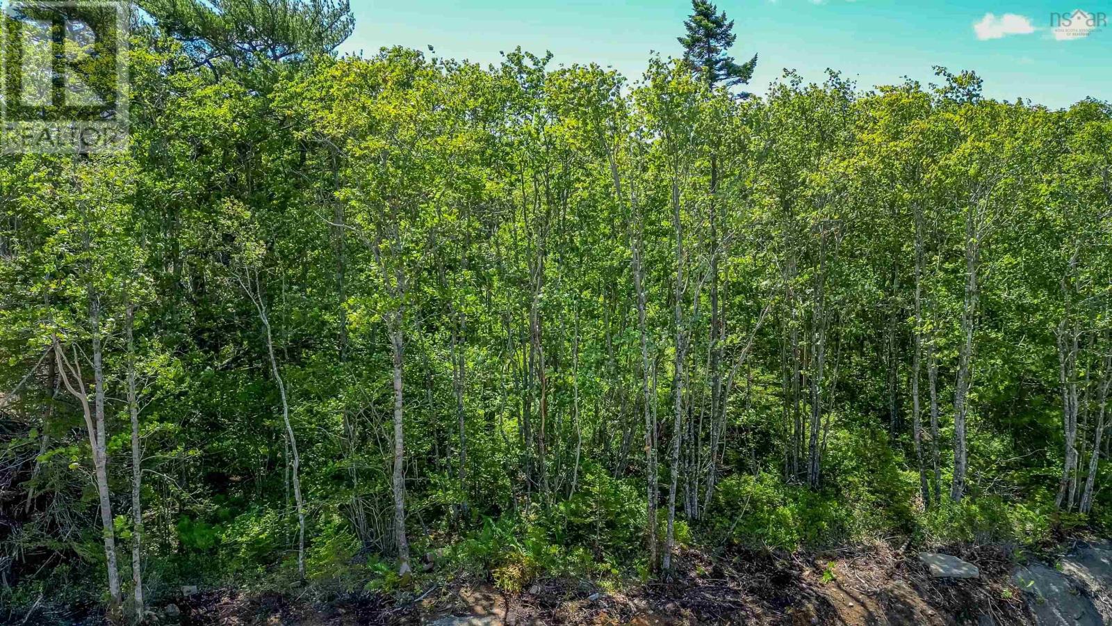 Property 2 of 5 of 70 Morton Drive