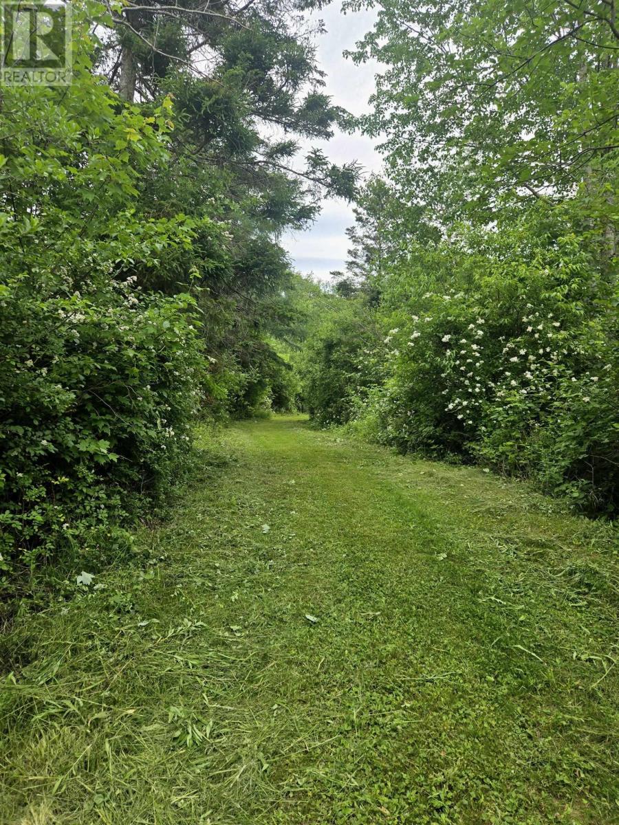 Property 36 of 38 of 205 Parker Mountain Road