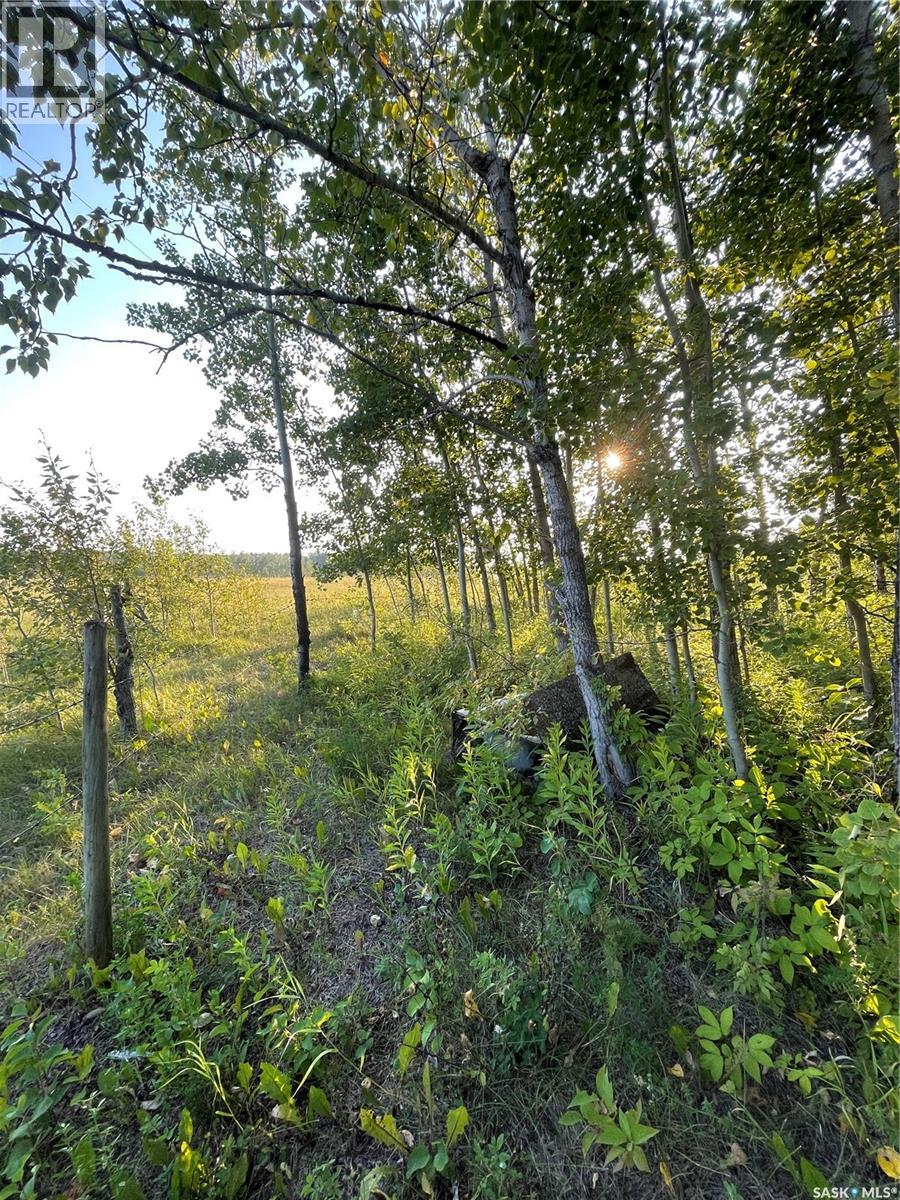 35 acres South Hudson Bay - 30