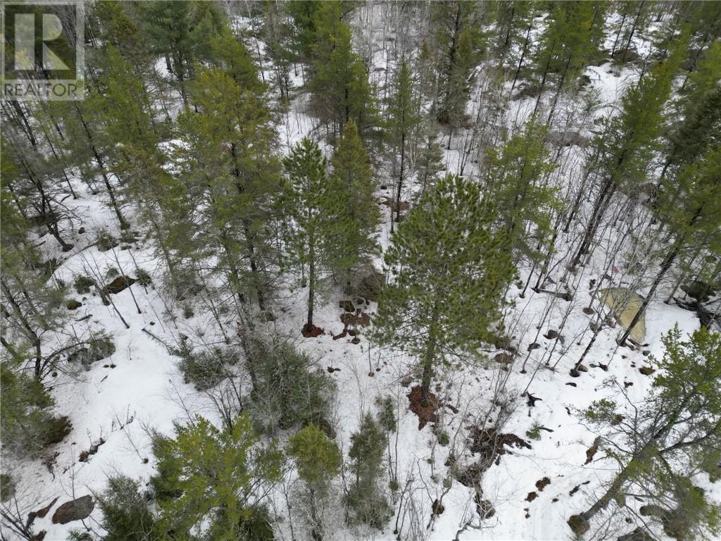 121 Nepewassi Lake Road — photo 4