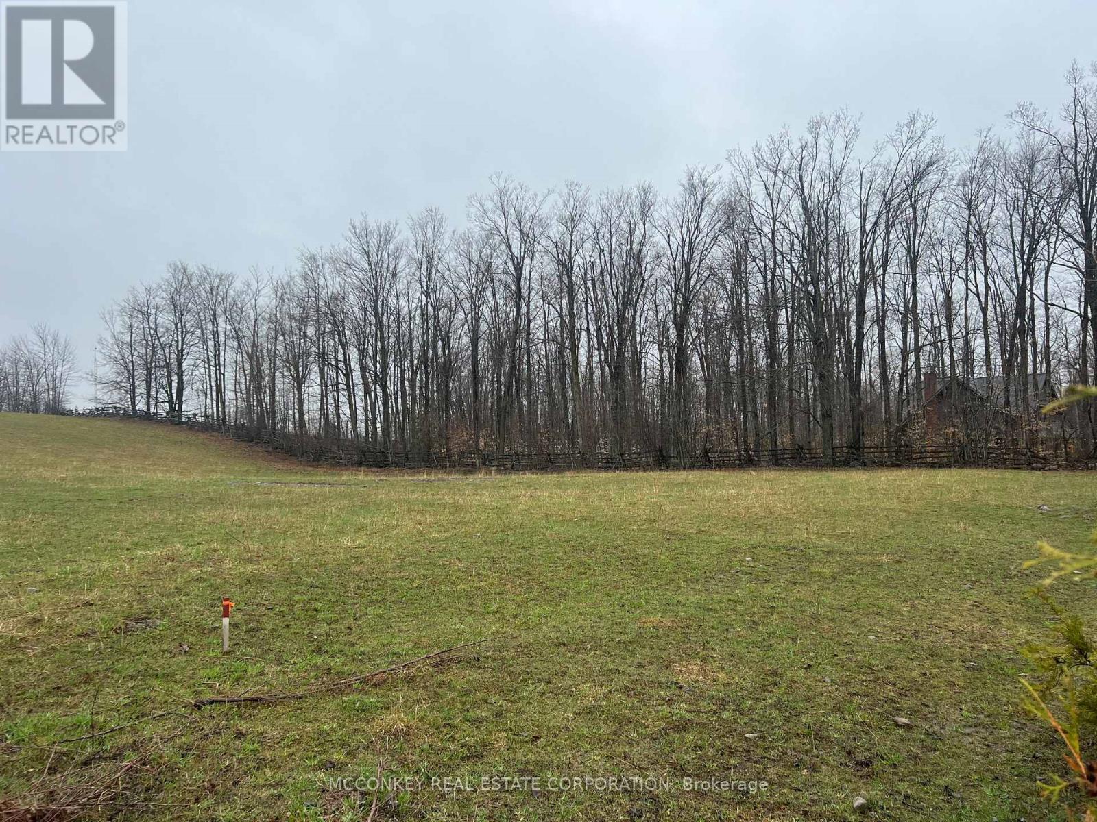 1020 CENTRE ROAD — photo 4