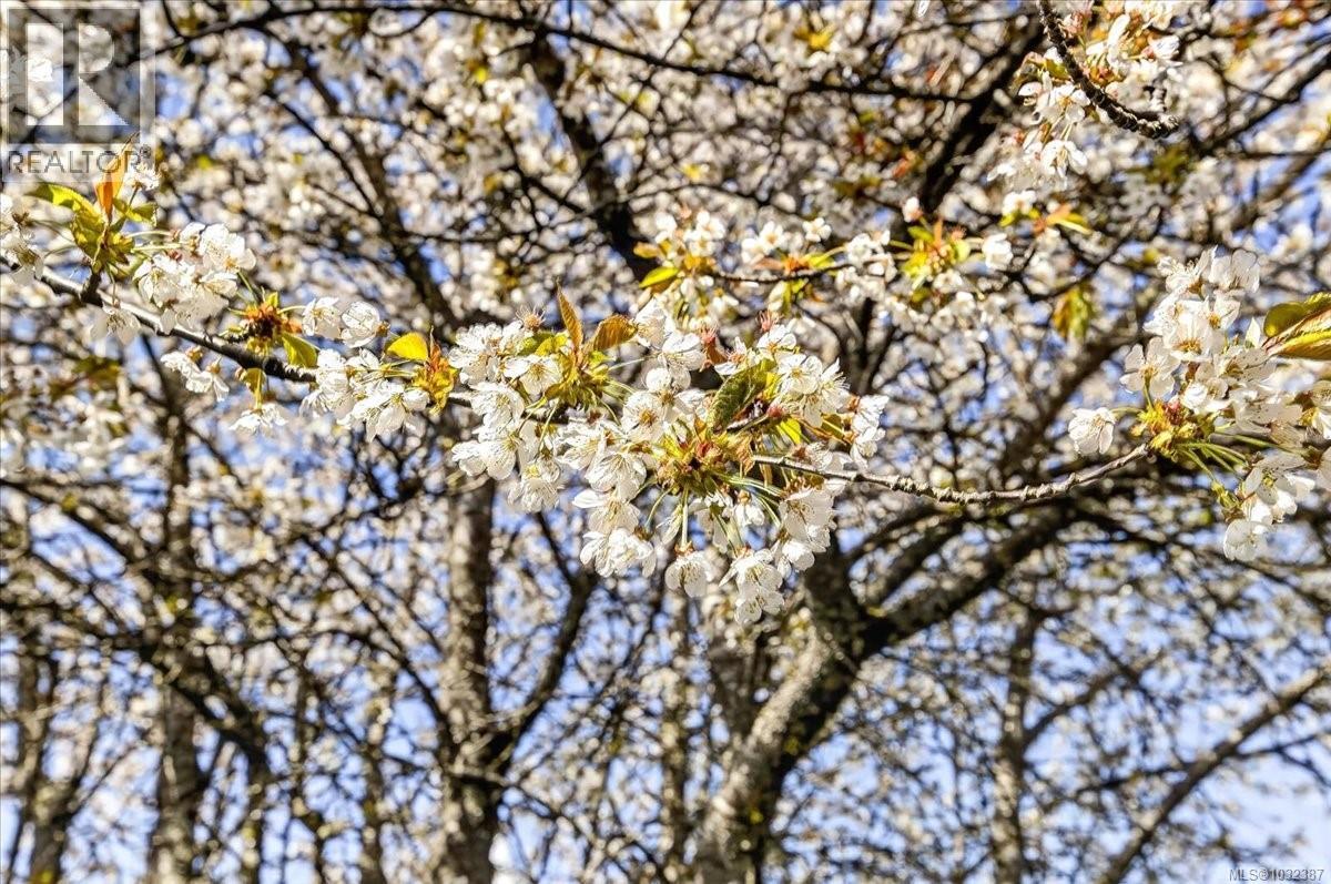 3928 8th Ave, Port Alberni