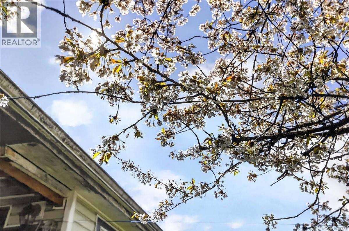 3928 8th Ave, Port Alberni