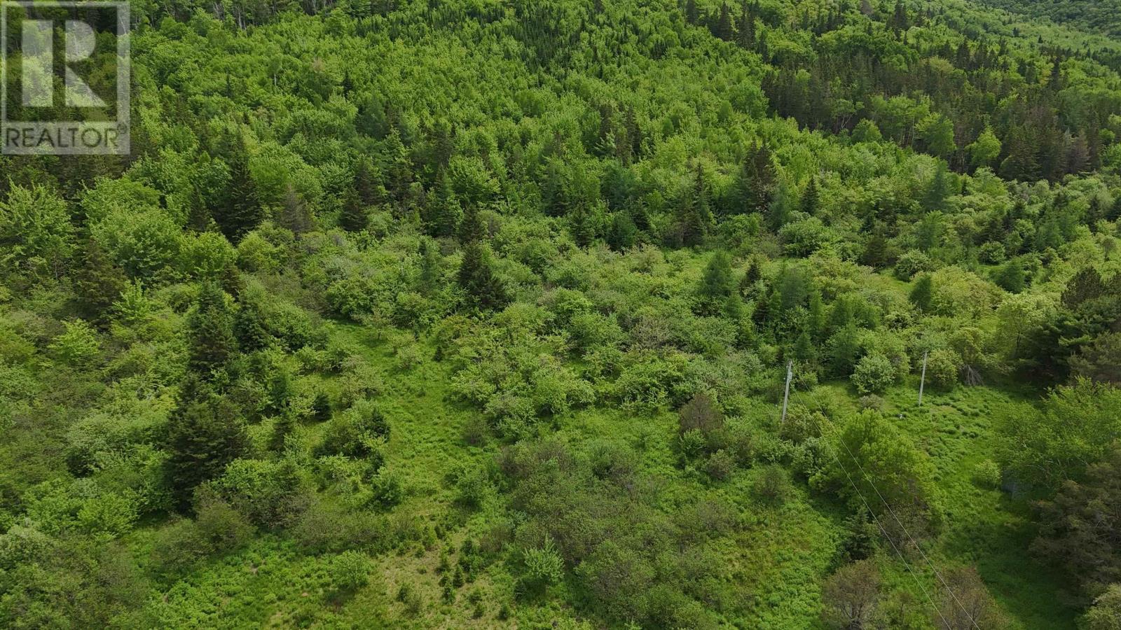 Property 13 of 28 of 101 Ferguson Road