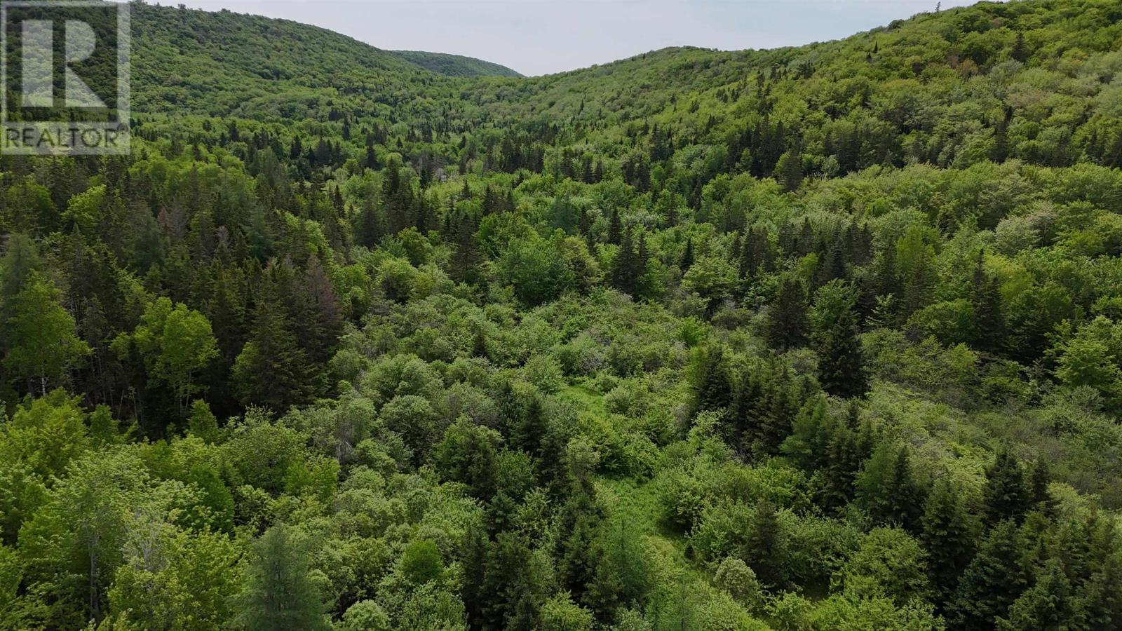 Property 15 of 28 of 101 Ferguson Road