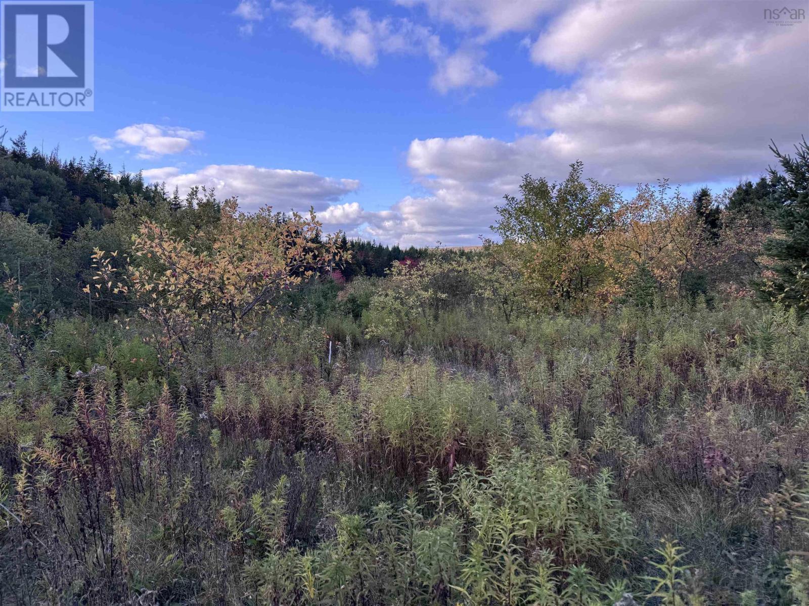 Property 25 of 28 of 101 Ferguson Road