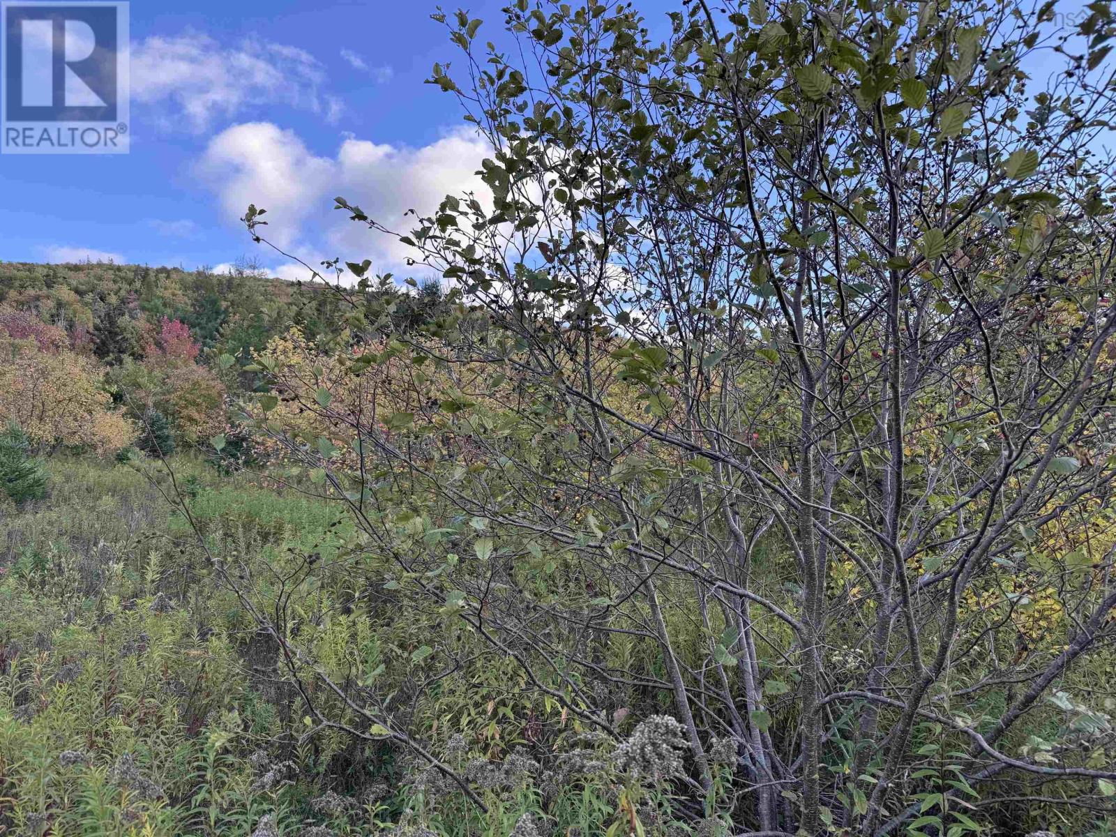 Property 27 of 28 of 101 Ferguson Road