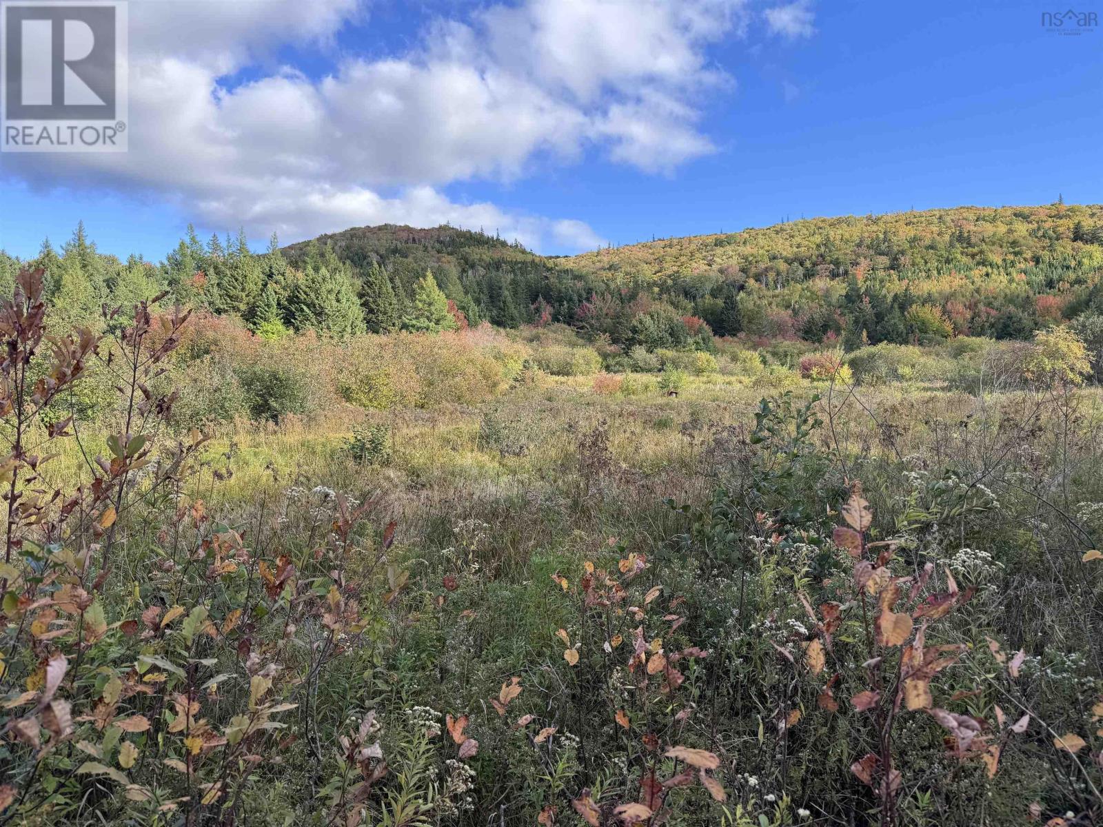 Property 6 of 28 of 101 Ferguson Road