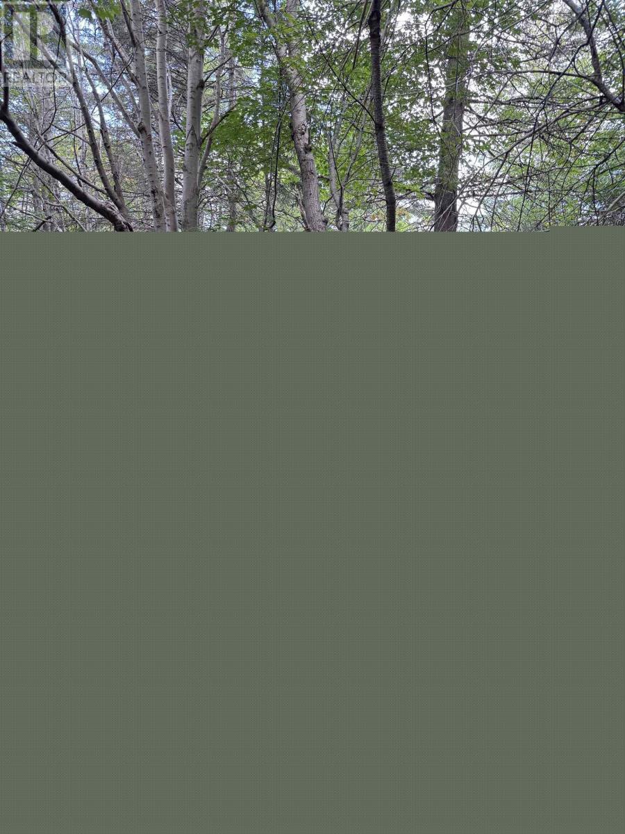 Property 8 of 28 of 101 Ferguson Road