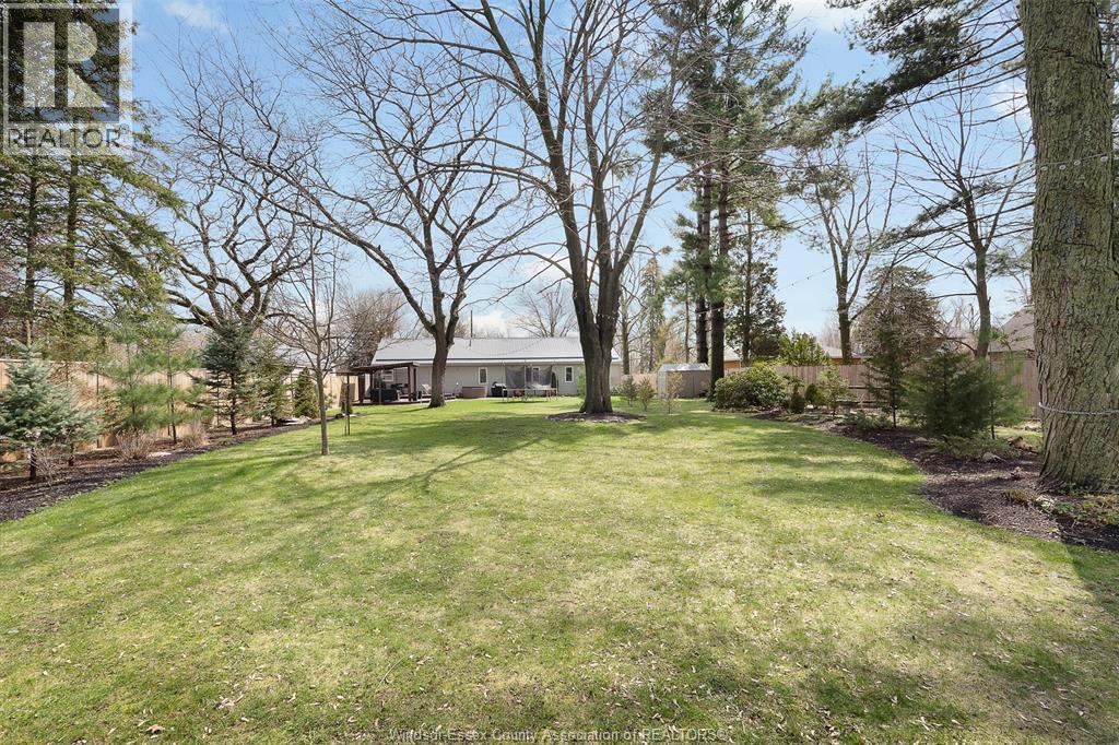82 PRINCE ALBERT STREET North, Kingsville, Ontario, N9Y1J7 — Photo 28