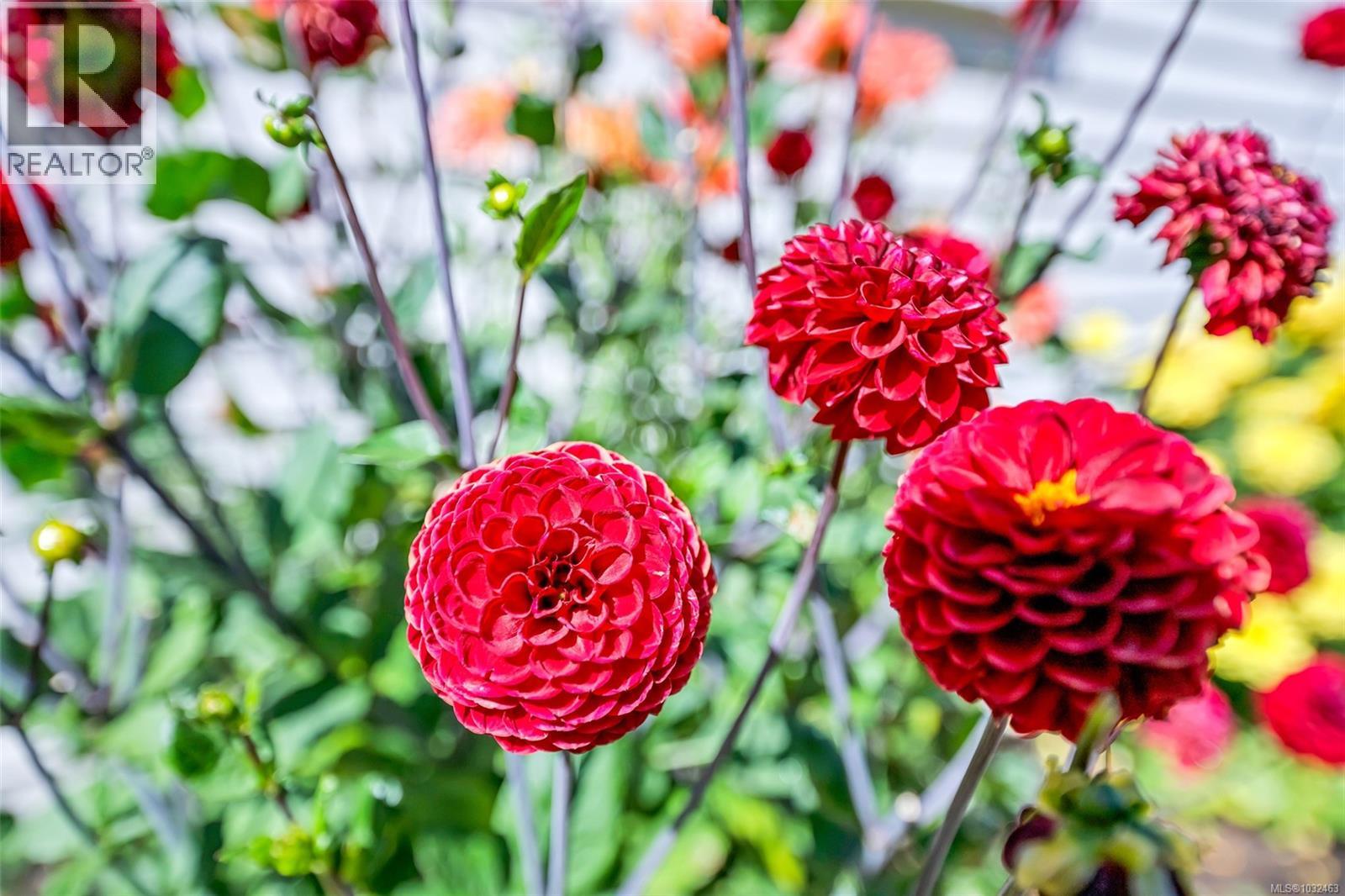  2624 Forbes Street, Victoria