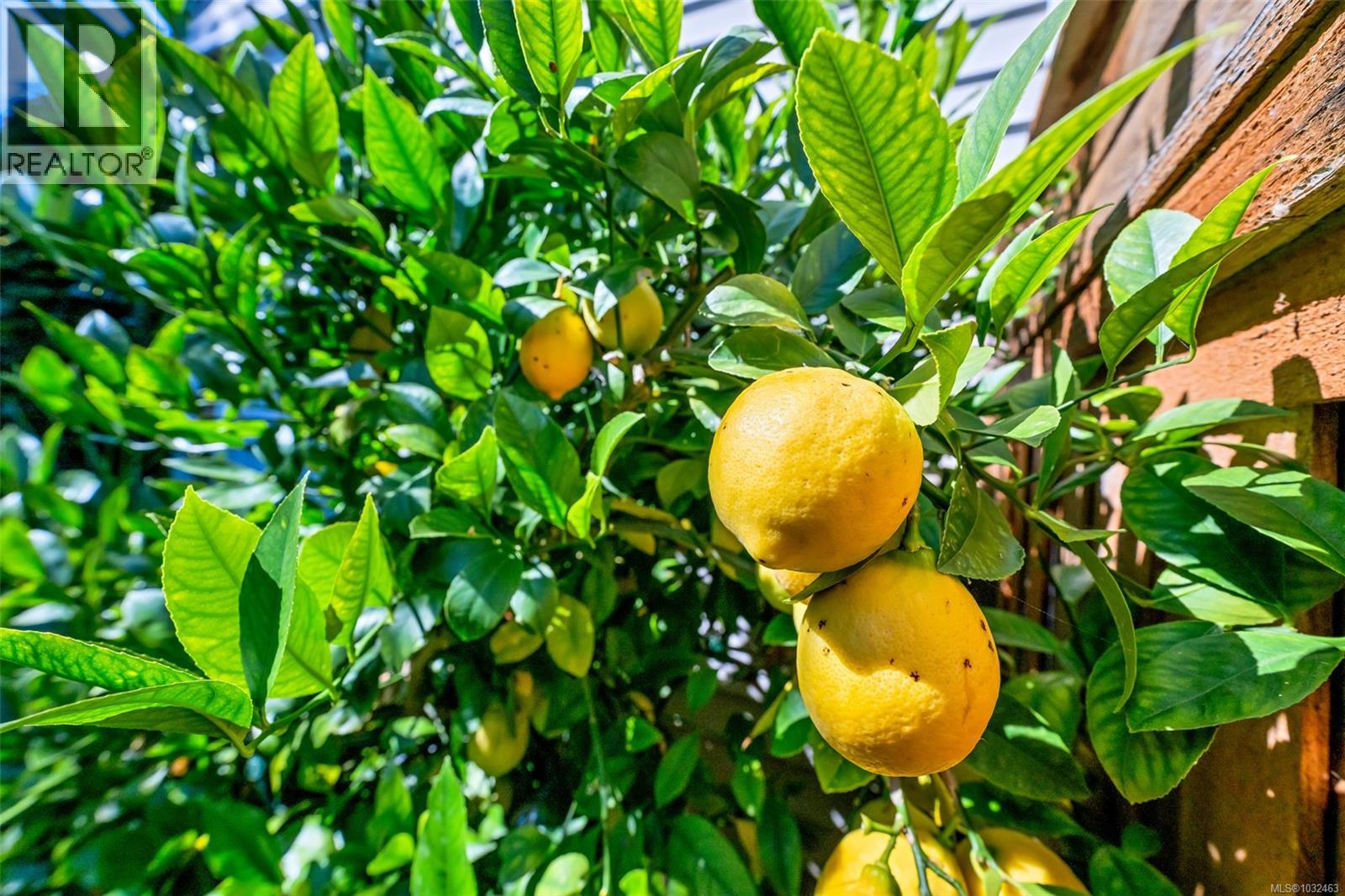  2624 Forbes Street, Victoria