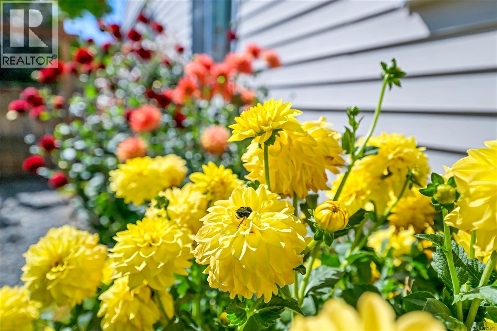  2624 Forbes Street, Victoria