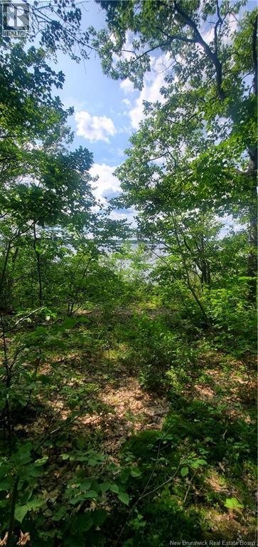 Lot Cox Point Road — photo 14