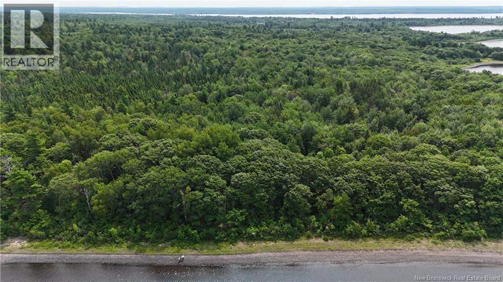 Lot Cox Point Road — photo 18
