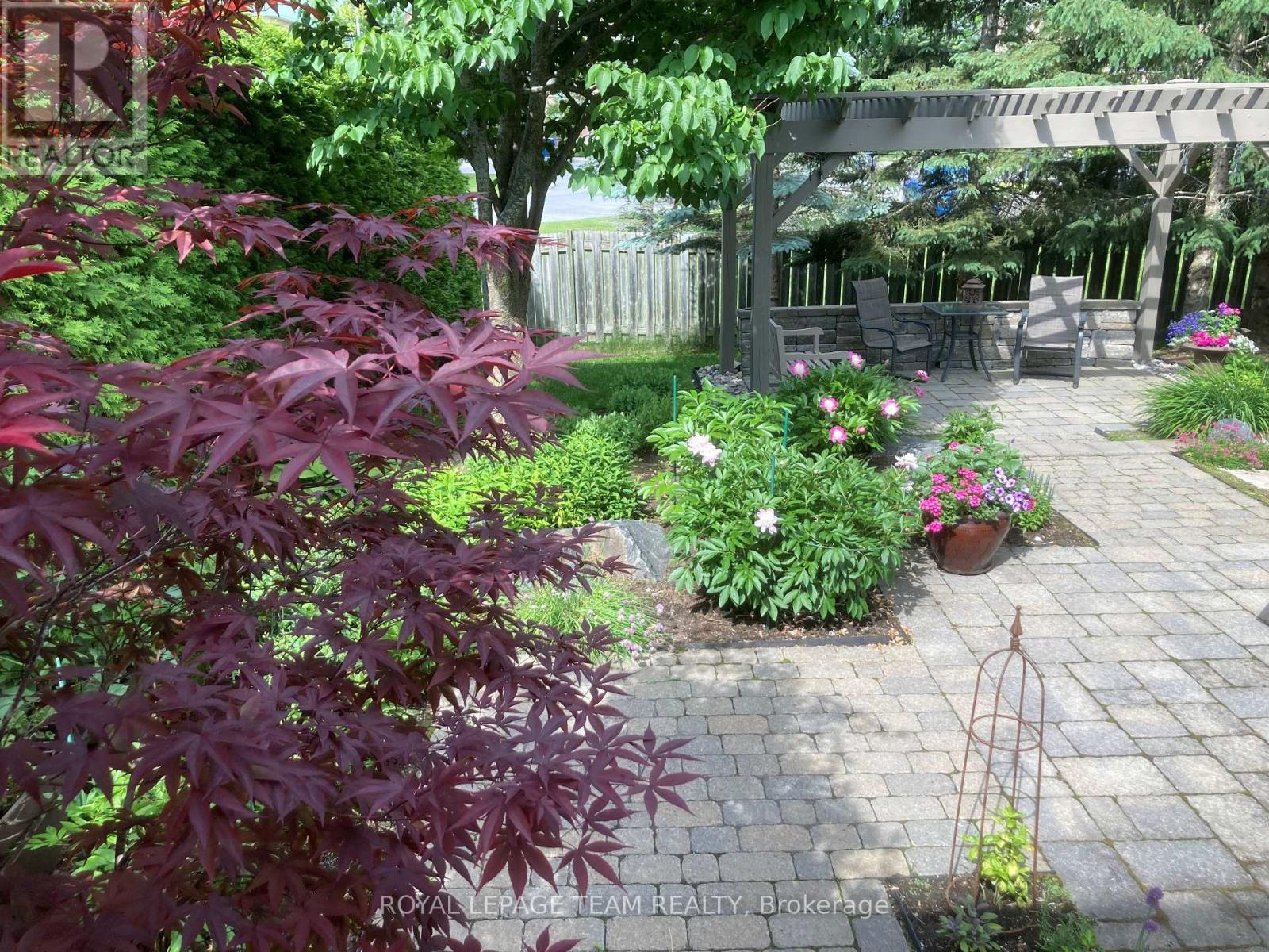Rear Yard Summer View