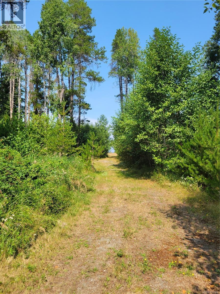 SL 1 4275 Island Hwy S — photo 7