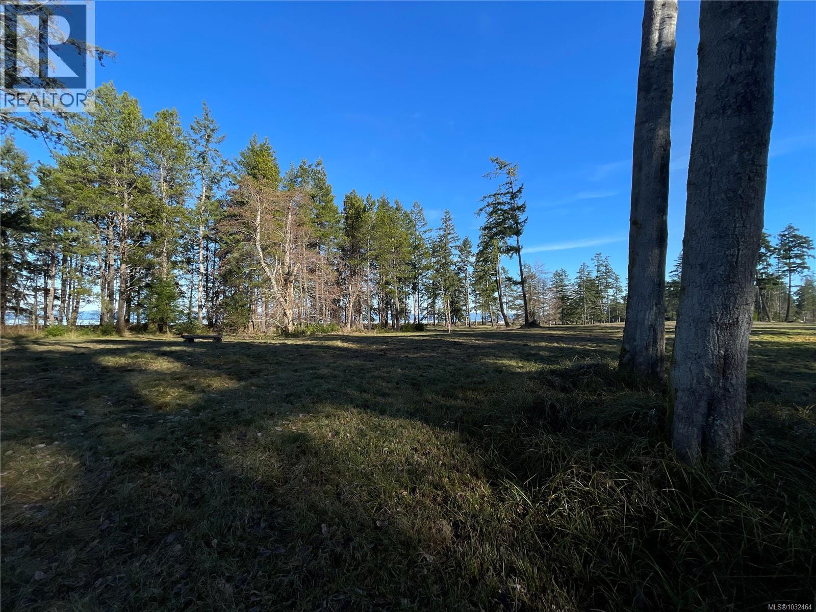 SL 1 4275 Island Hwy S — photo 8