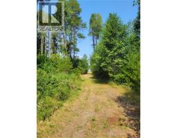 Sl 1 4275 Island Hwy S, Campbell River, BC V9H1B7 Photo 7