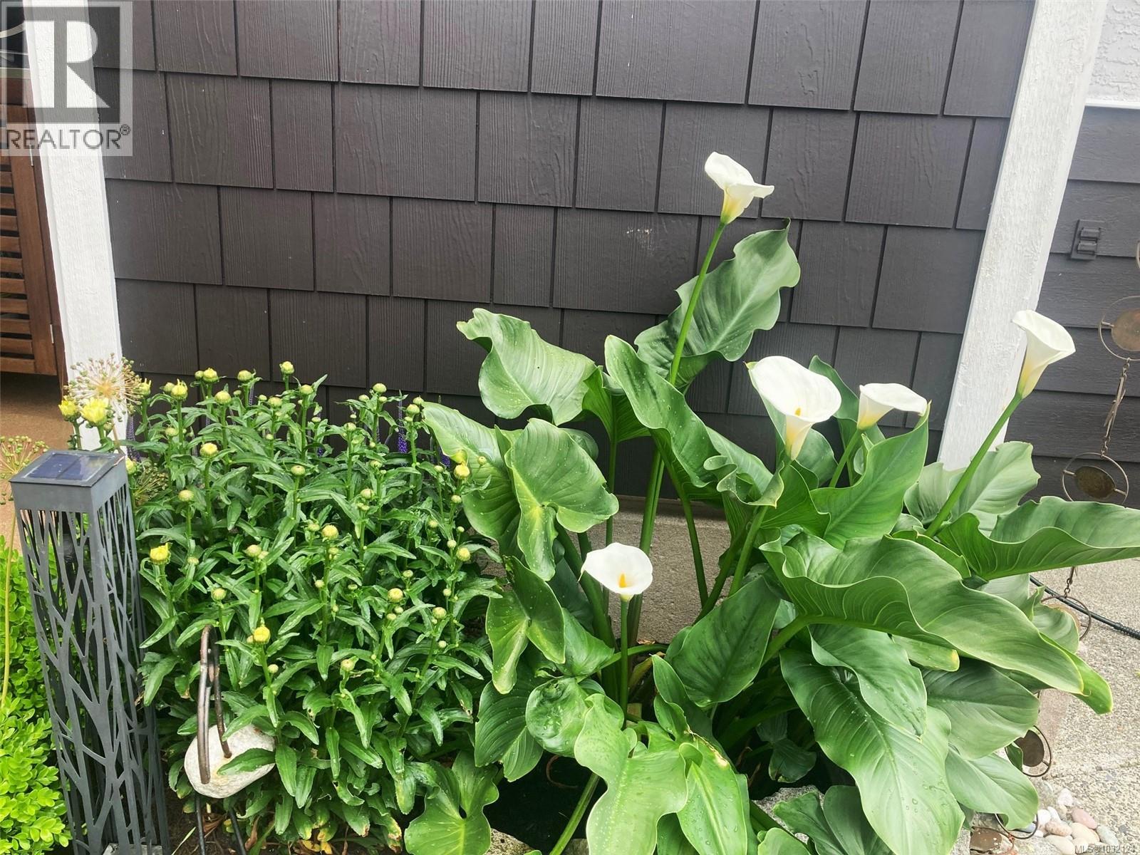 615 Nash Pl - 42