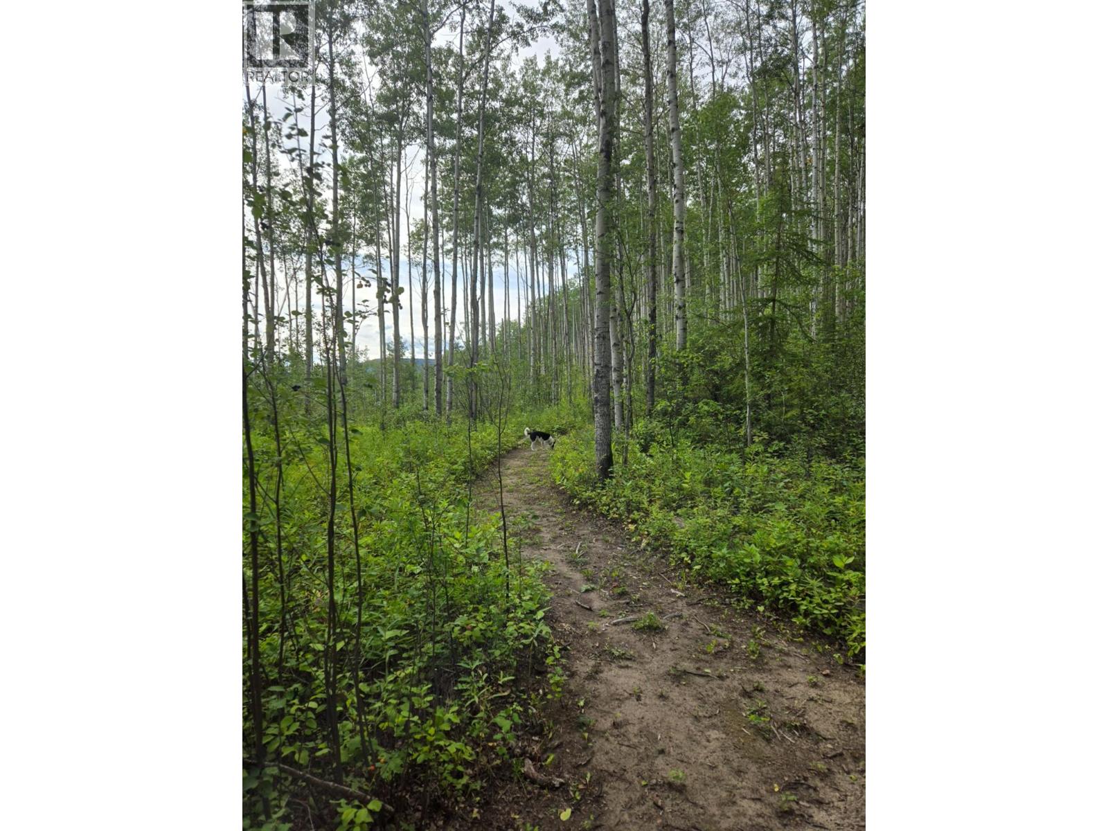 5334 KURJATA DRIVE - 98