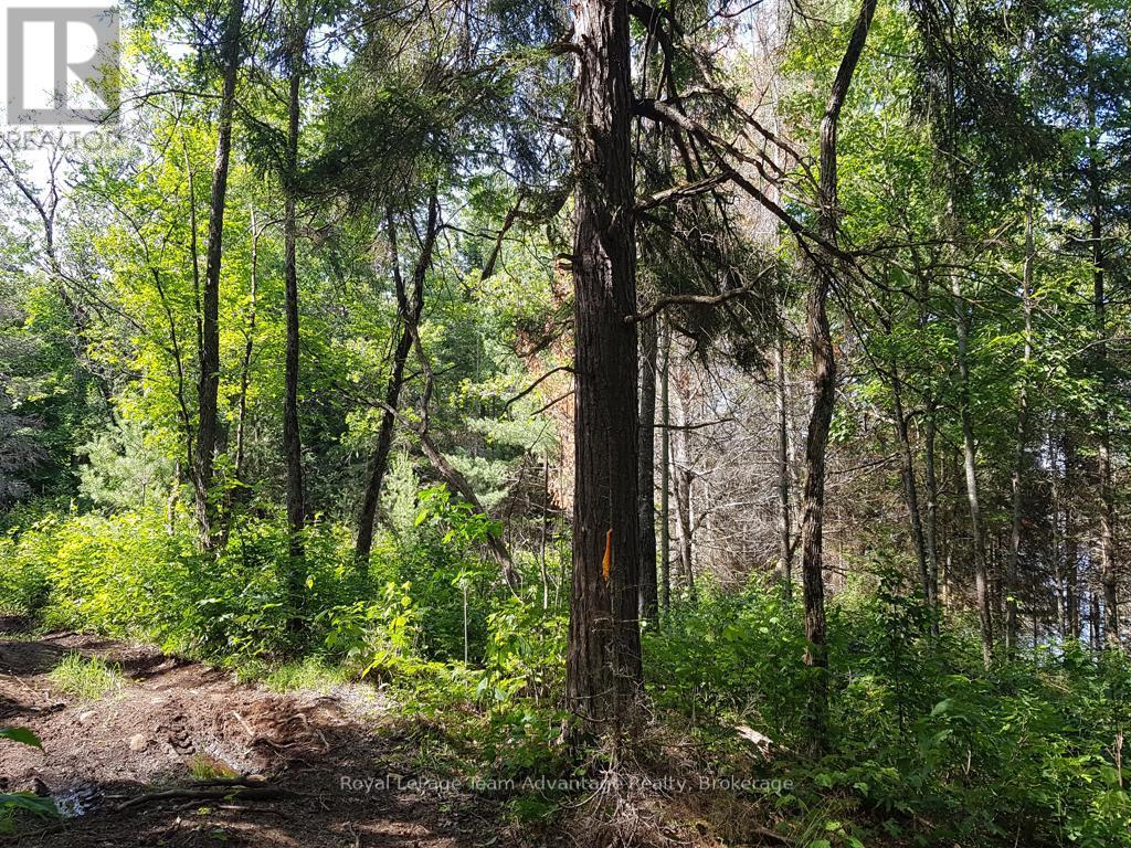 0 UNOPENED ROAD ALLOWANCE ROAD — photo 13