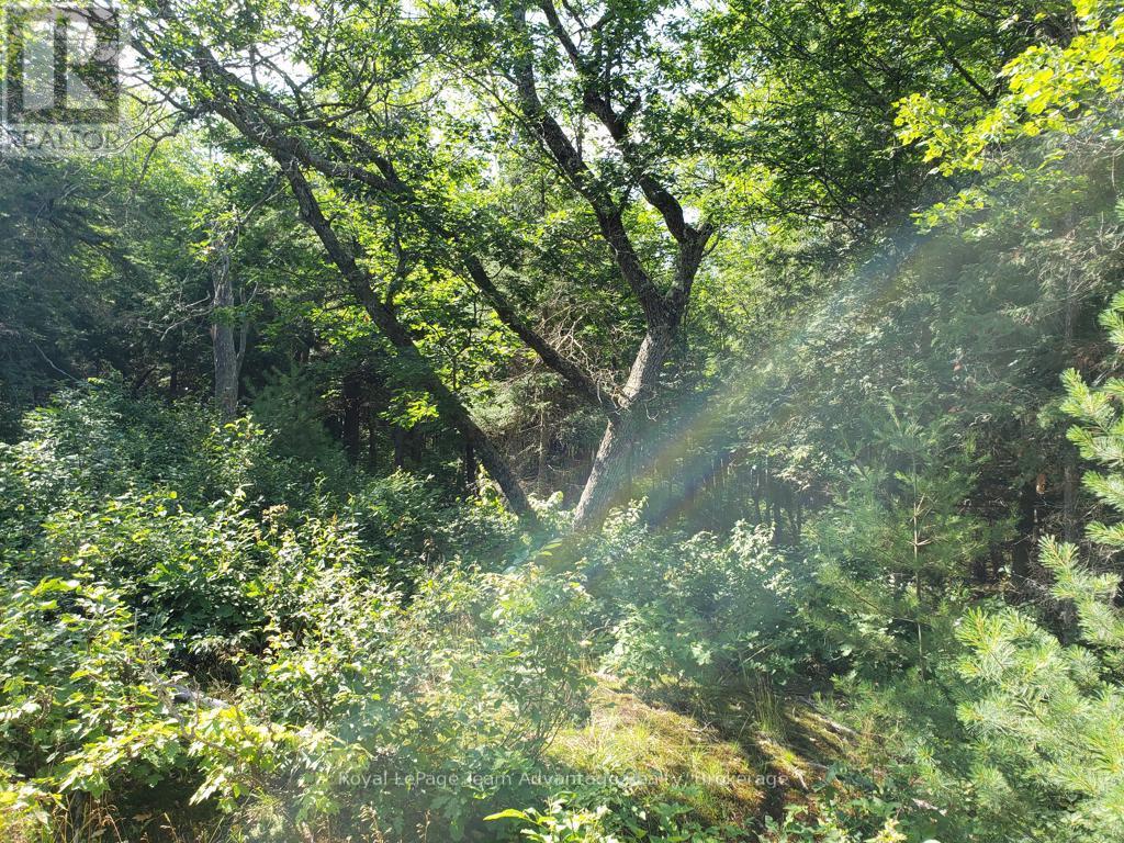 0 UNOPENED ROAD ALLOWANCE ROAD — photo 5