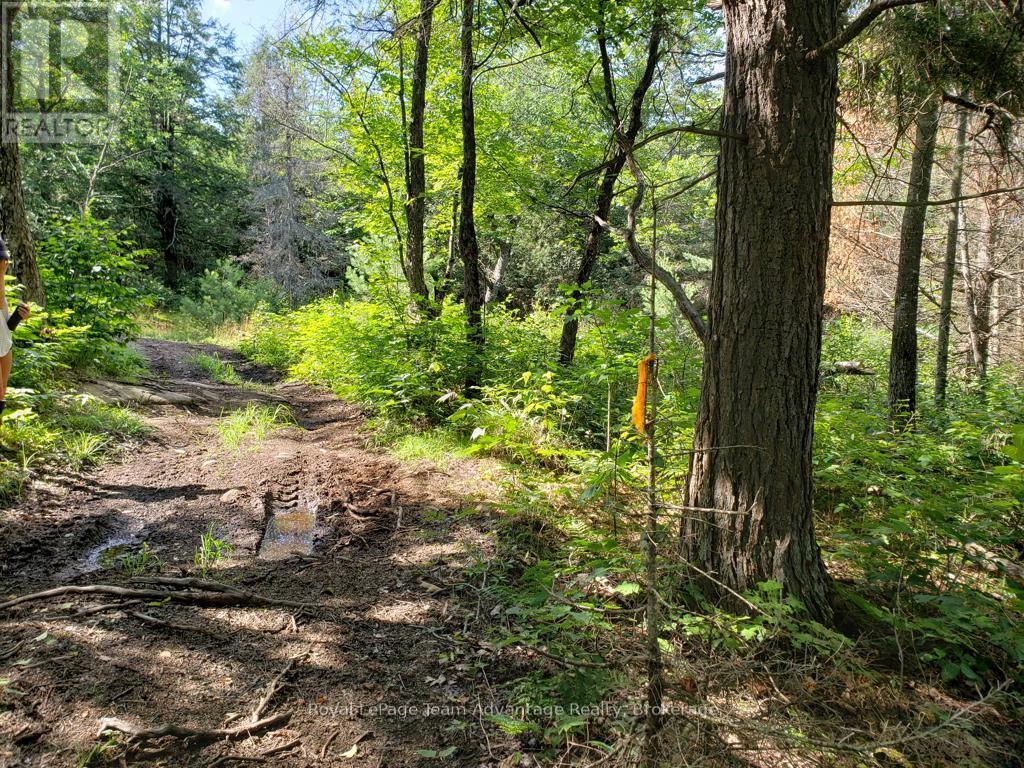 0 UNOPENED ROAD ALLOWANCE ROAD — photo 8