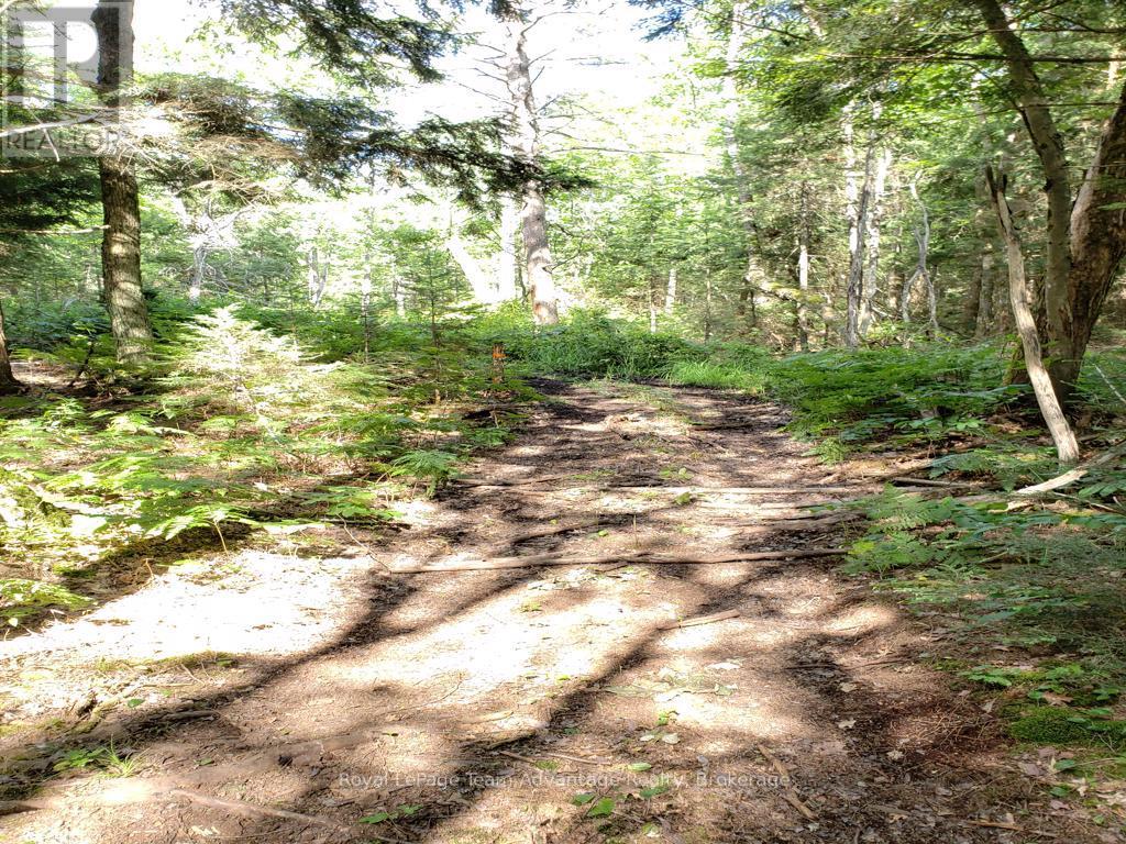 0 UNOPENED ROAD ALLOWANCE ROAD — photo 9