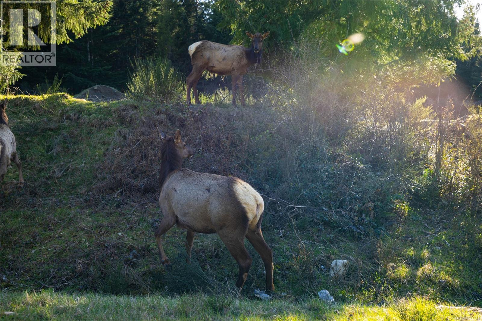  9686 Creekside Drive, Youbou