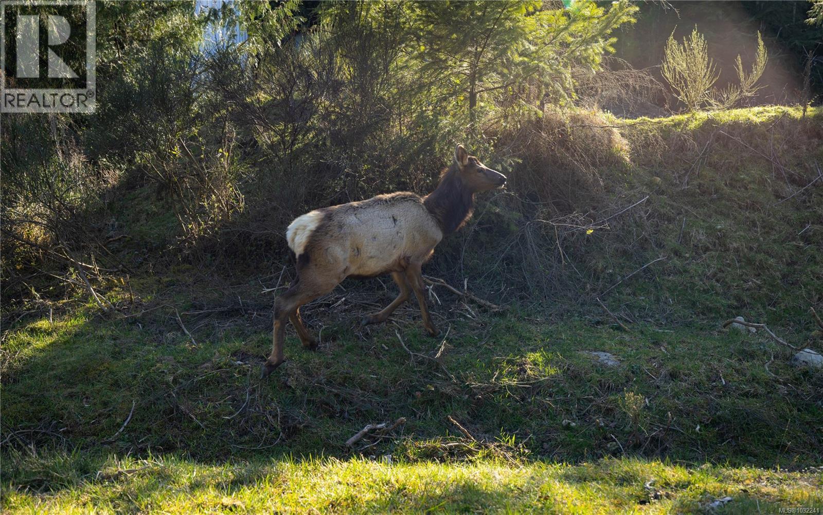  9686 Creekside Drive, Youbou