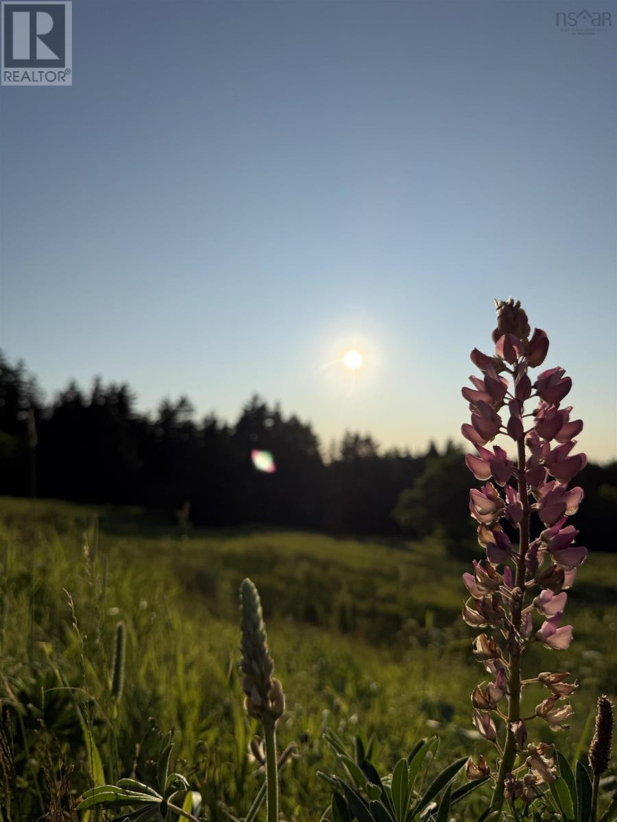 Property 28 of 42 of 161 Harbour Heights Road