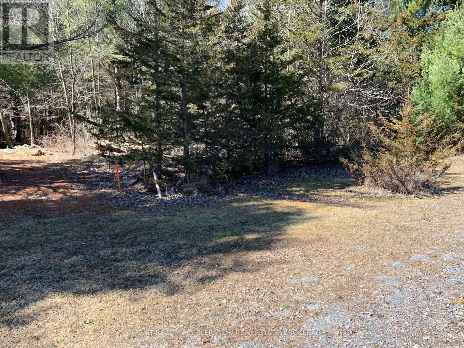 00 CON11 PINE GROVE ROAD — photo 5
