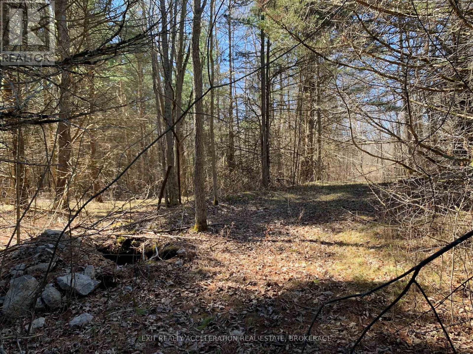 00 CON11 PINE GROVE ROAD — photo 9
