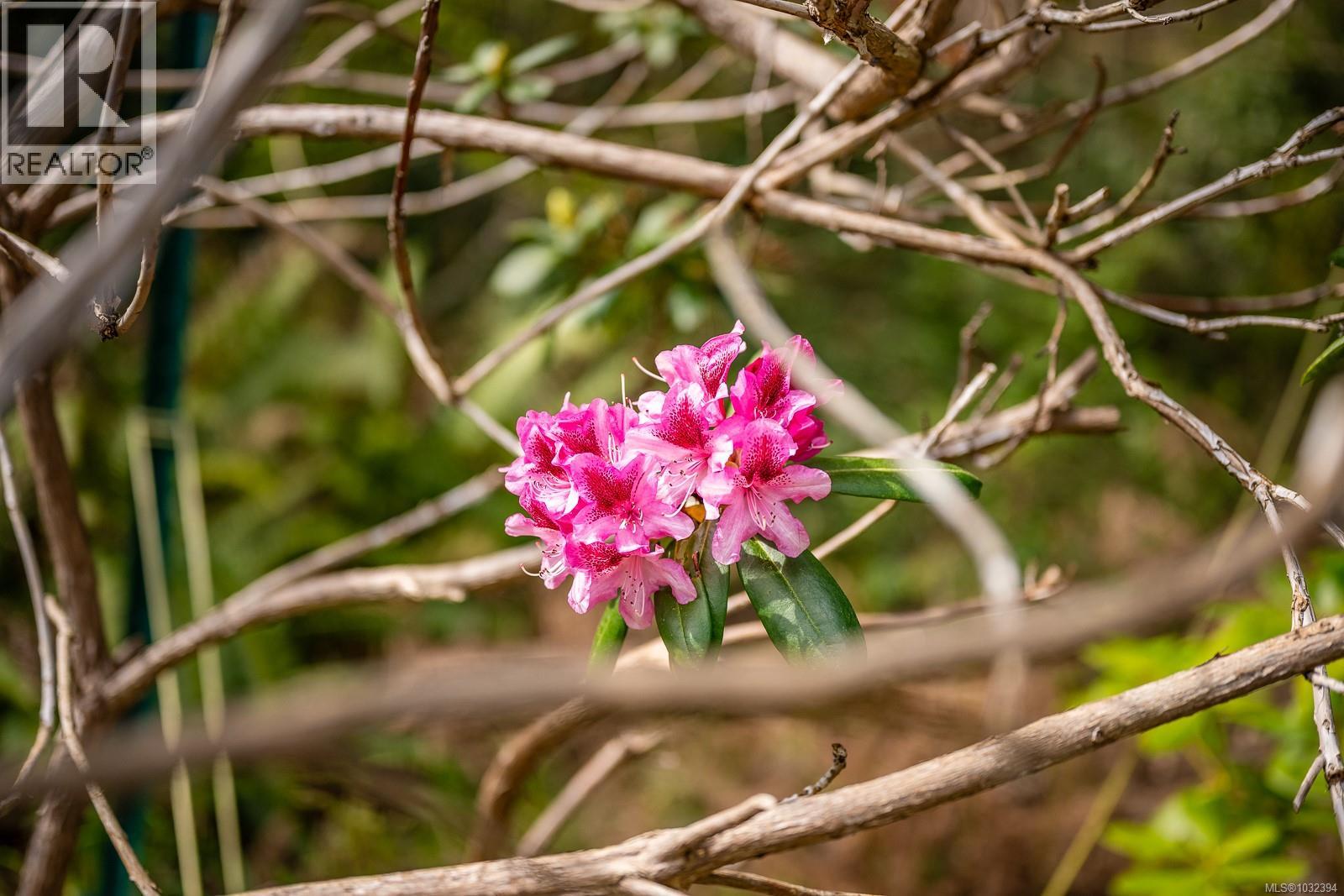 2300 WAVELAND RD - 51