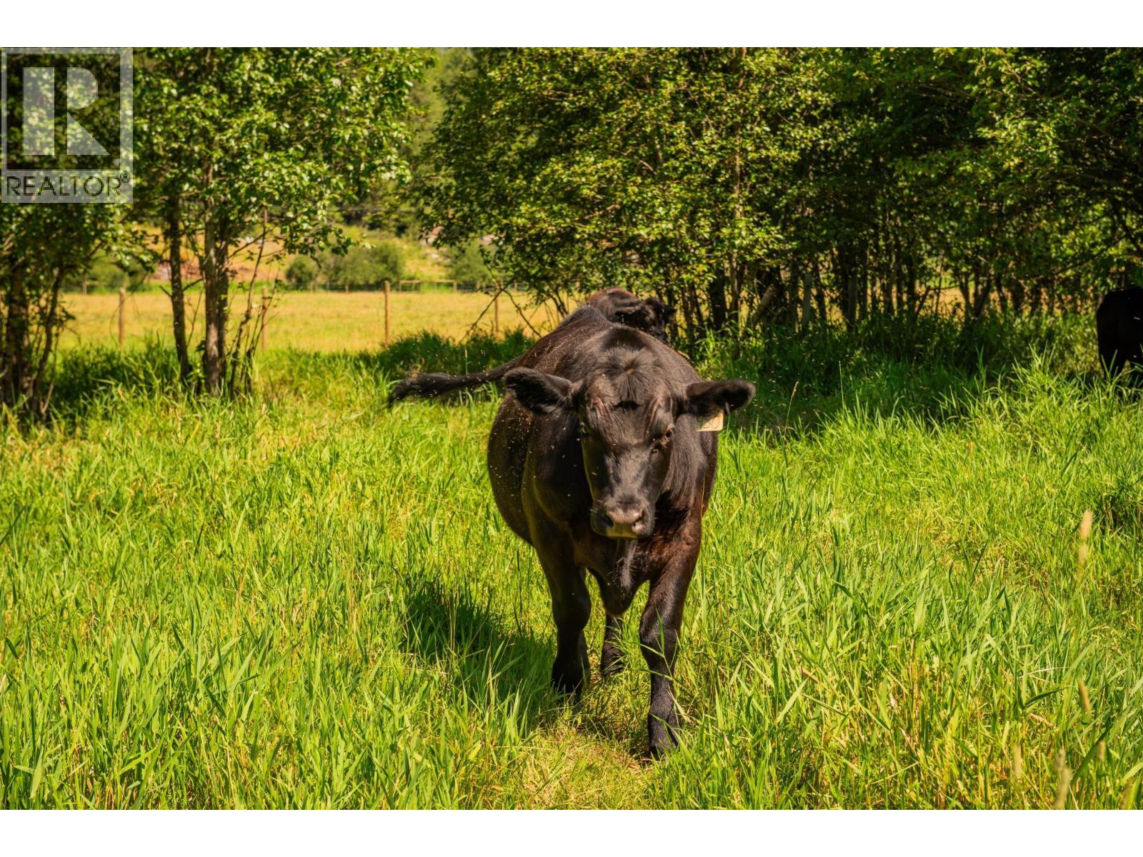 2335 PASS CREEK ROAD - 84