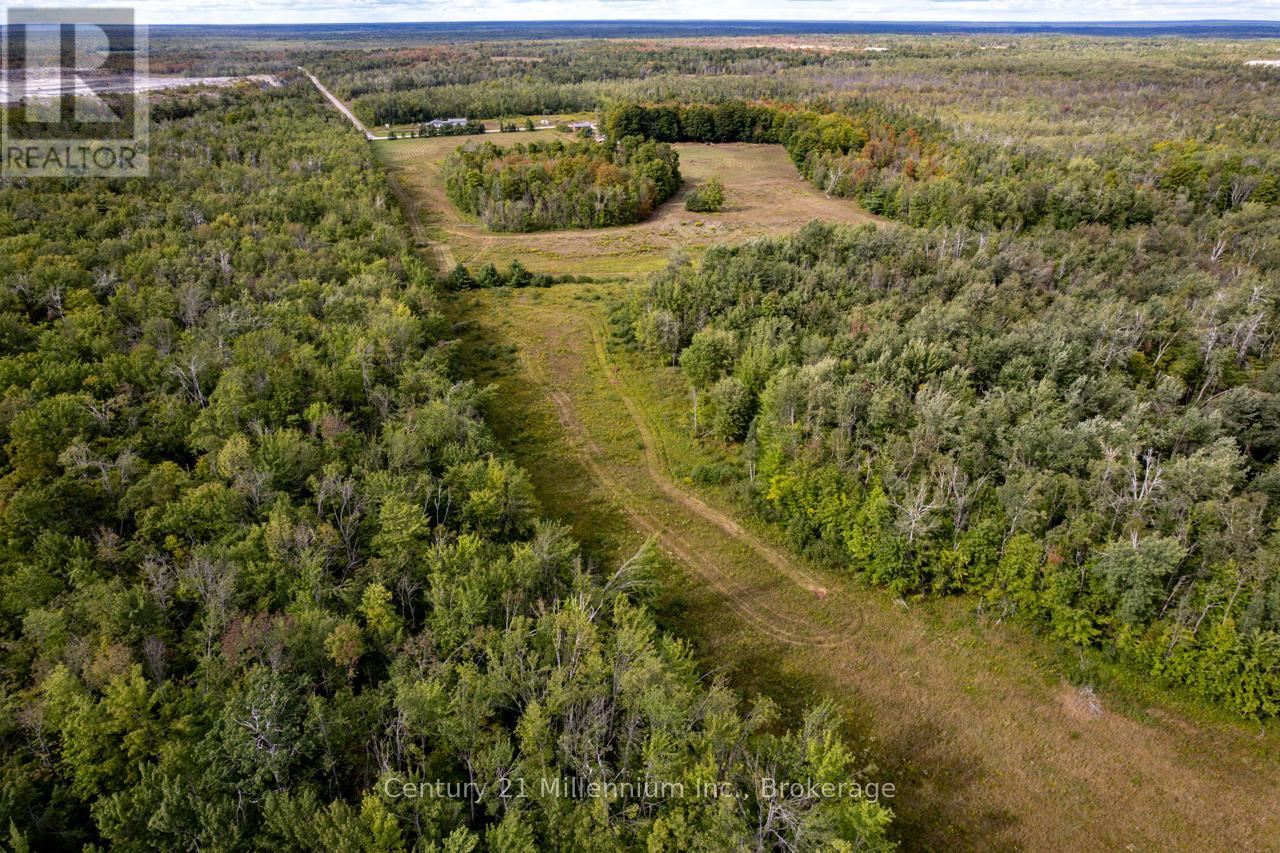 6989 CONCESSION B-C ROAD — photo 17