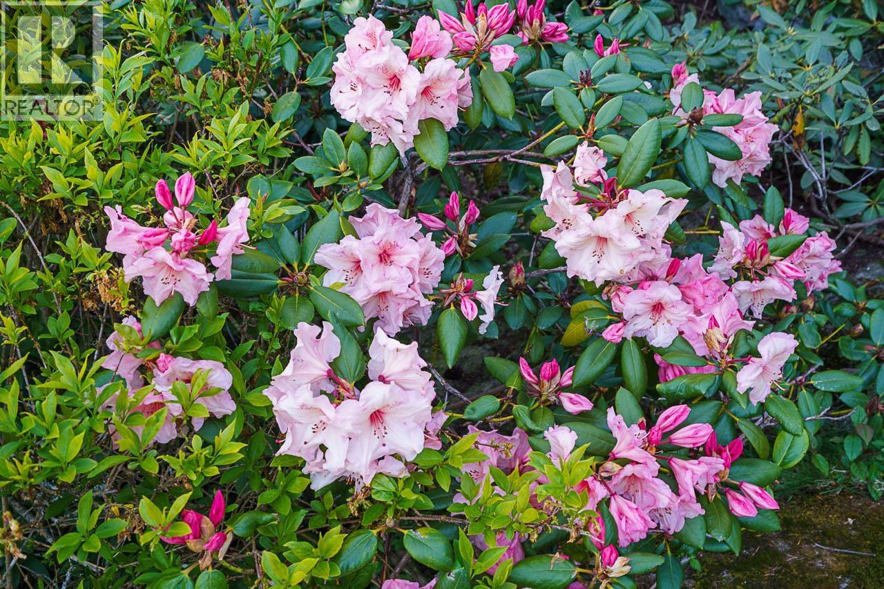 3898 SOUTHRIDGE AVENUE, West Vancouver