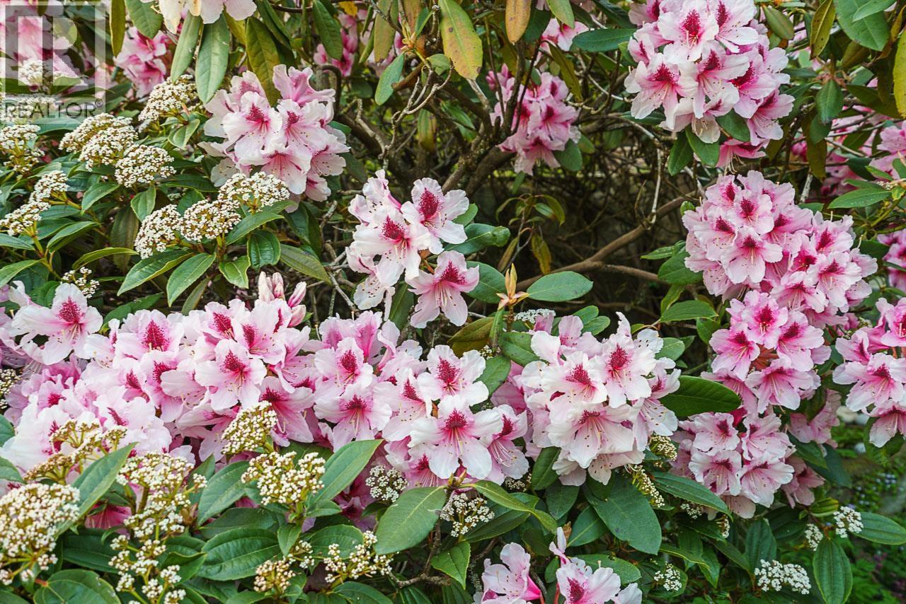 3898 SOUTHRIDGE AVENUE, West Vancouver